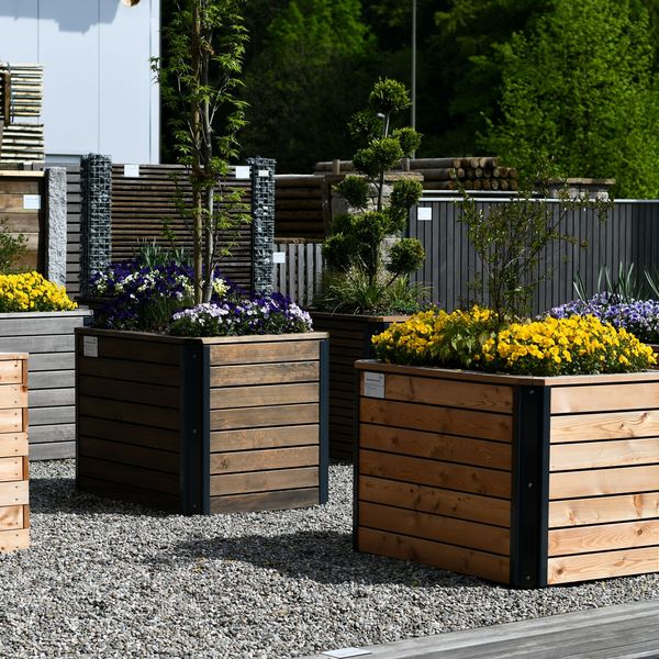 Hochbeet Viva Larix